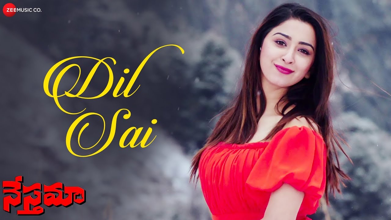 Dil Sai Video | Namaste Nestama Songs