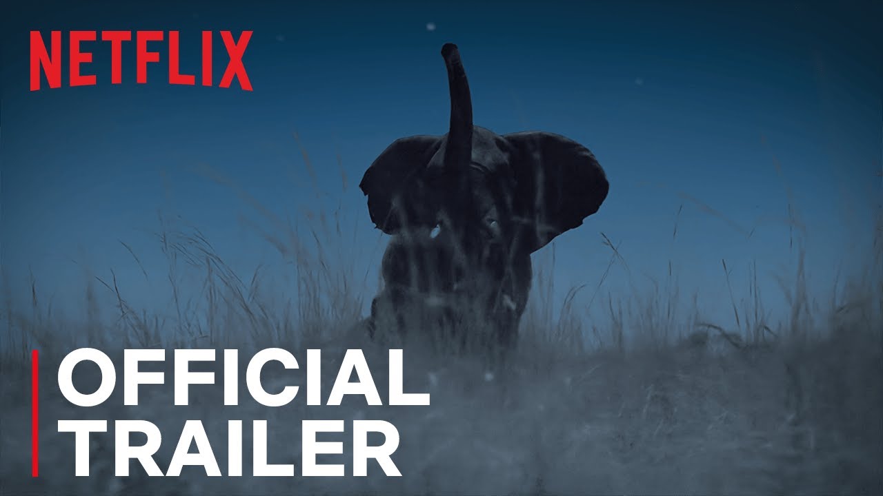 Night on Earth Trailer | Netflix Web series