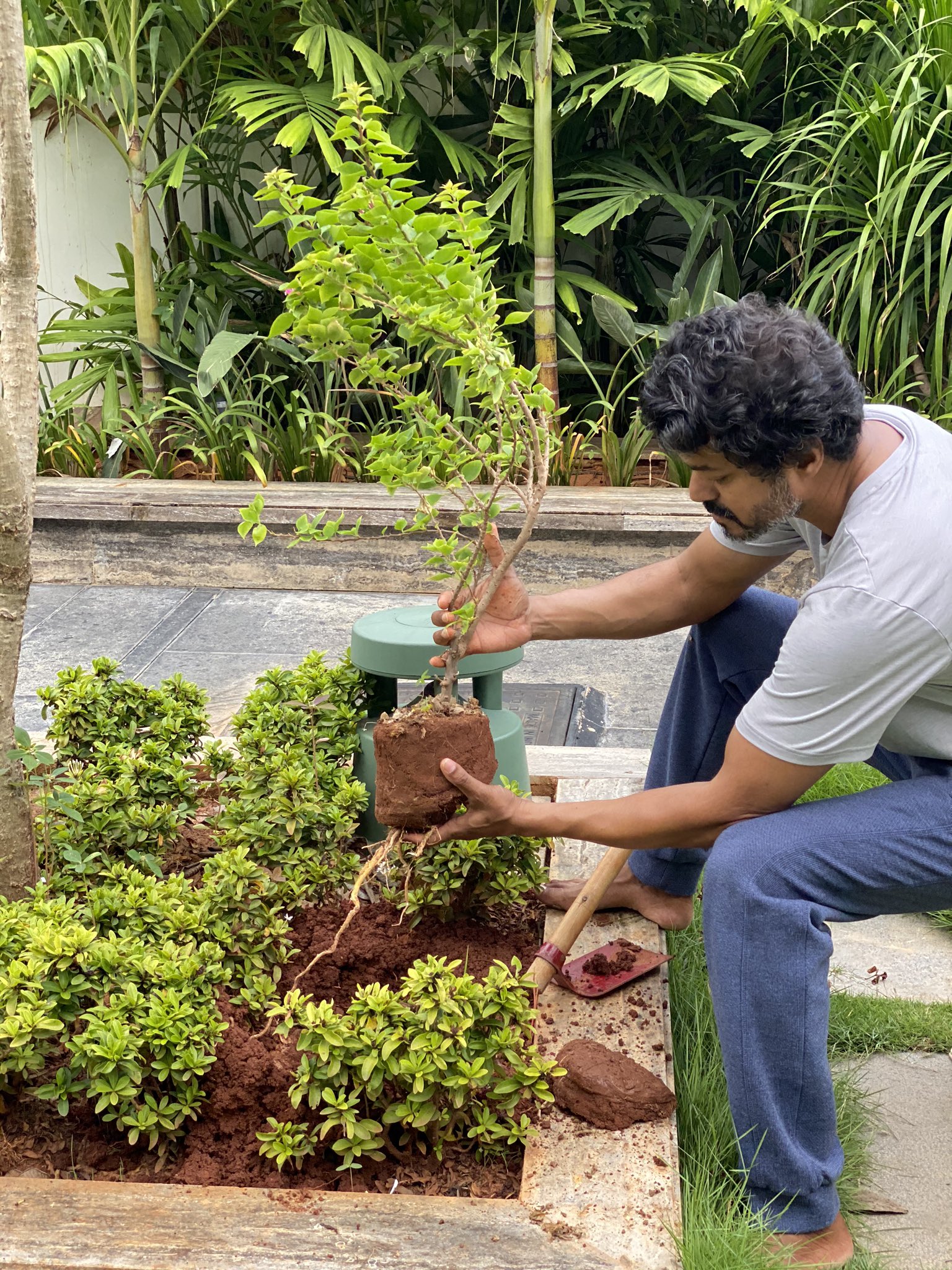El comandante Vijay está plantando árboles jóvenes