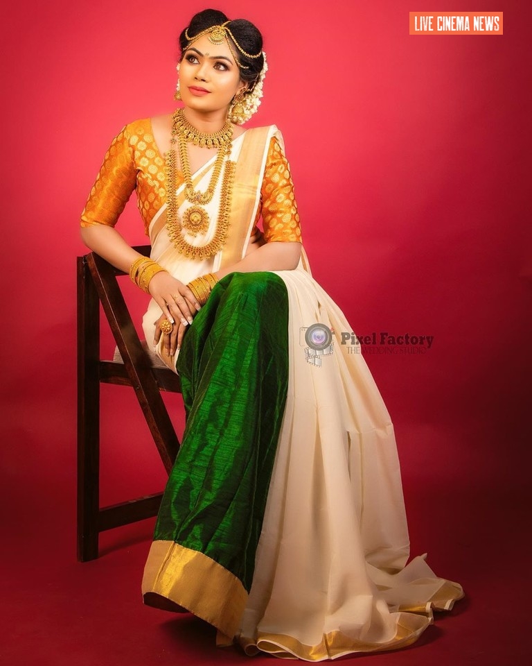 Divya Krishnan Latest Saree Photos